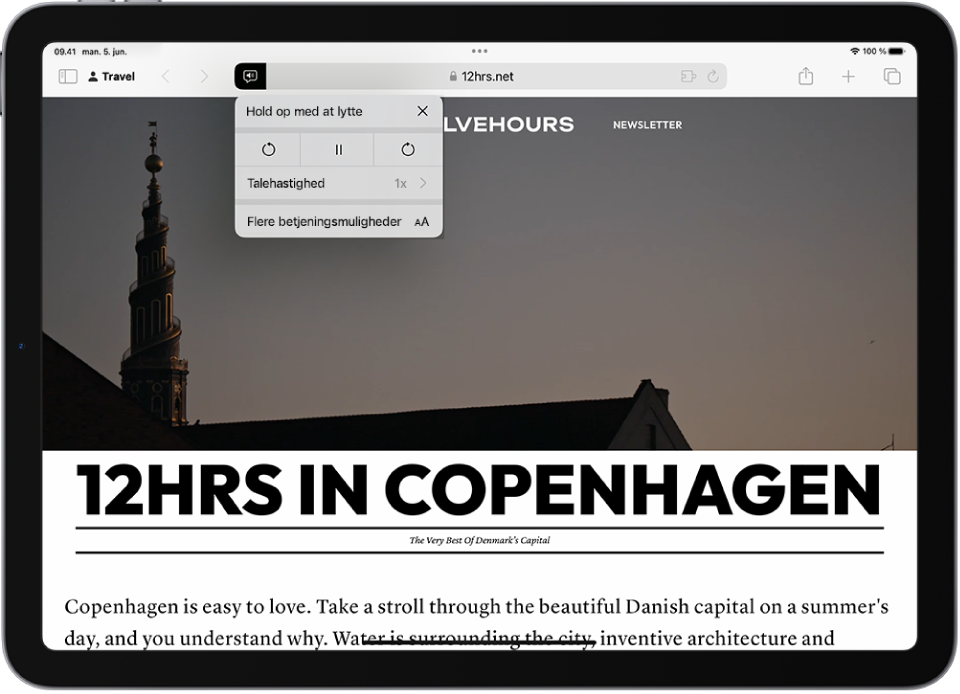 Et websted er åbent i Safari. Knappen Sideindstillinger er valgt, og lytteindstillinger vises.