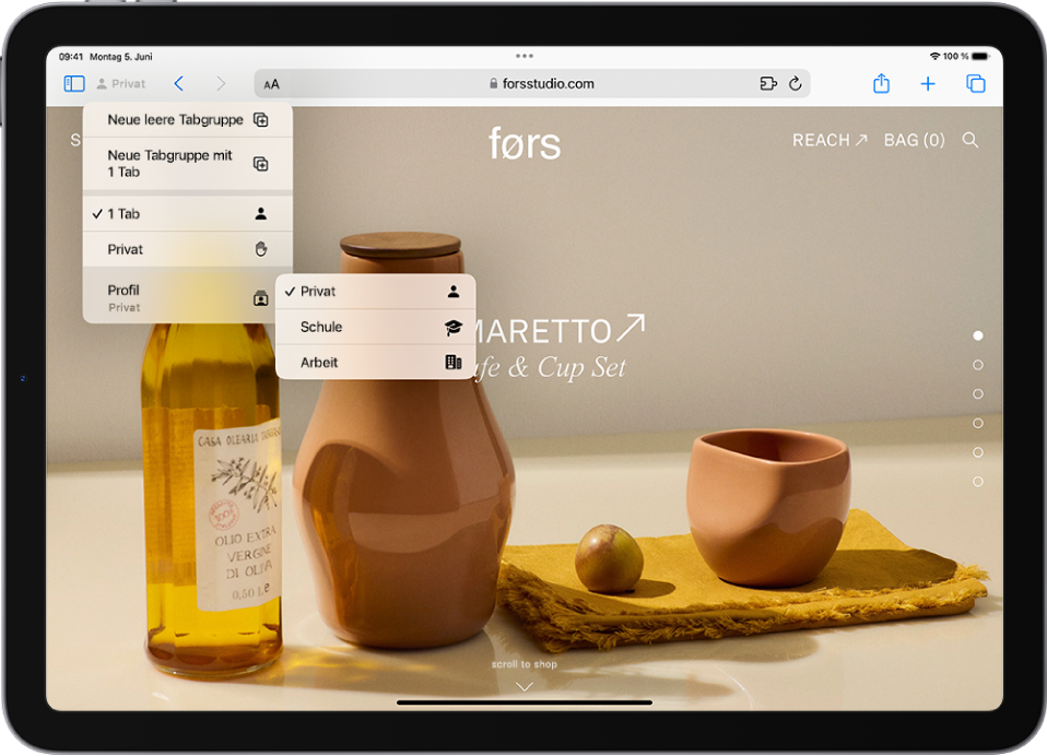 In Safari ist das Menü „Tabgruppe“ links vom Suchfeld geöffnet. Unten im Menü ist „Profil“ ausgewählt und die Optionen „Persönlich“, „Schule“ und „Arbeit“ werden in einem weiteren Menü angezeigt.