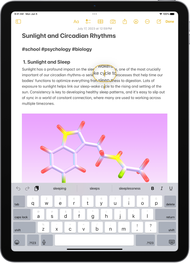 A note showing the insertion point positioned where text will be inserted or edited. The surrounding text is magnified to make it easier to place the insertion point.