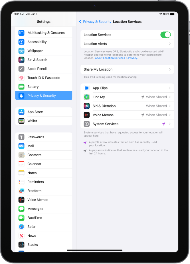 Location Services settings in Privacy & Security settings, with options for sharing the location of your iPad, including custom settings for individual apps.