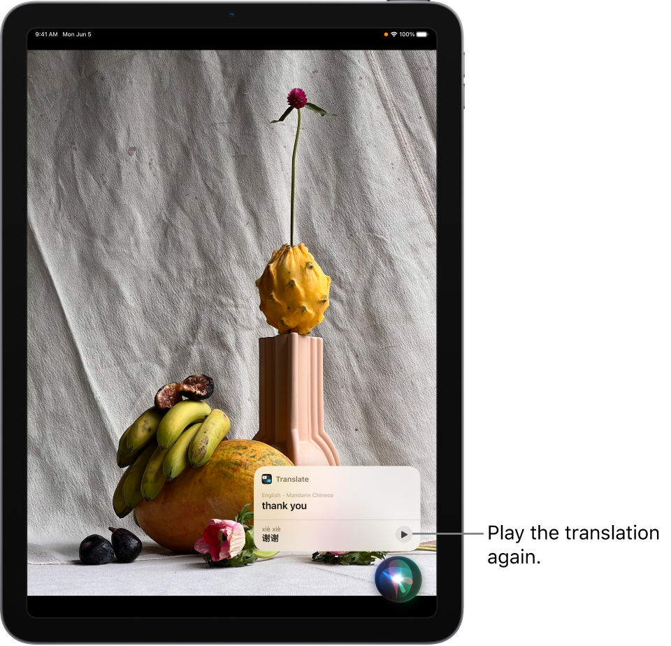 Siri displays a translation of the English phrase “thank you” into Mandarin. A button to the right of the translation replays audio of the translation.