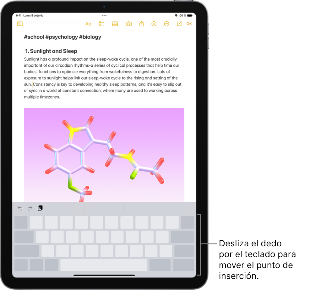 Documento abierto en la app Notas. El teclado en pantalla que se muestra en la mitad inferior de la pantalla está en modo trackpad.