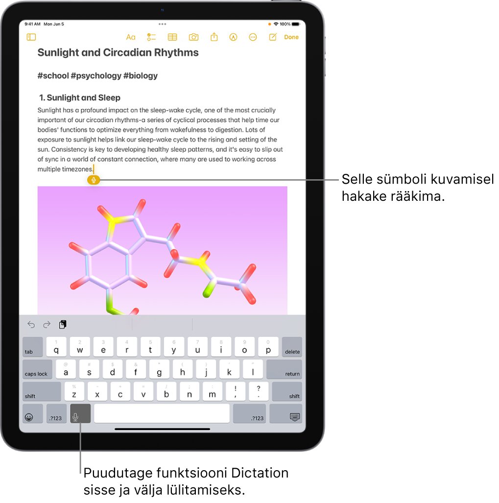 Rakenduses Notes on avatud ekraaniklaviatuur. Klaviatuuri alaosast valitud nupp Dictation ning tekstiväljal kuvatakse sisestuspunkti all nuppu Dictation.