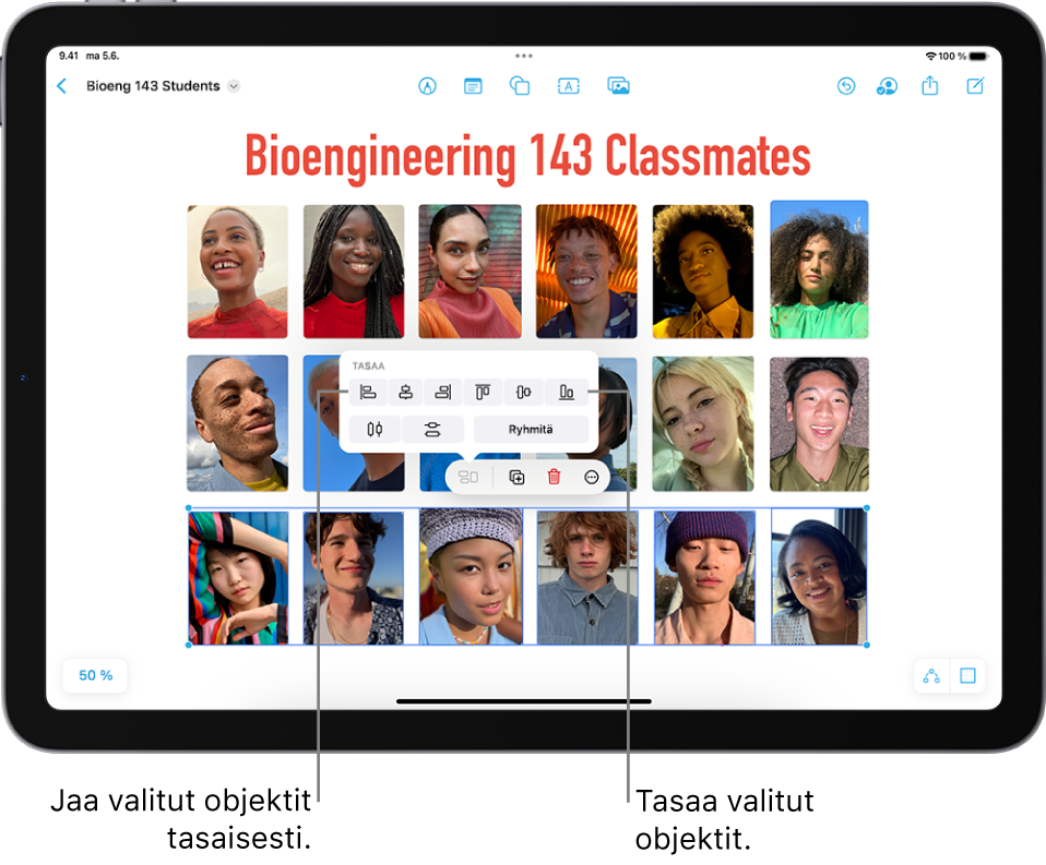 Freeform-taulussa on ruudukkona kuvia. Useita kuvia on valittuna, ja tasaus- ja ryhmittelytyökalut näkyvät niiden yläpuolella.