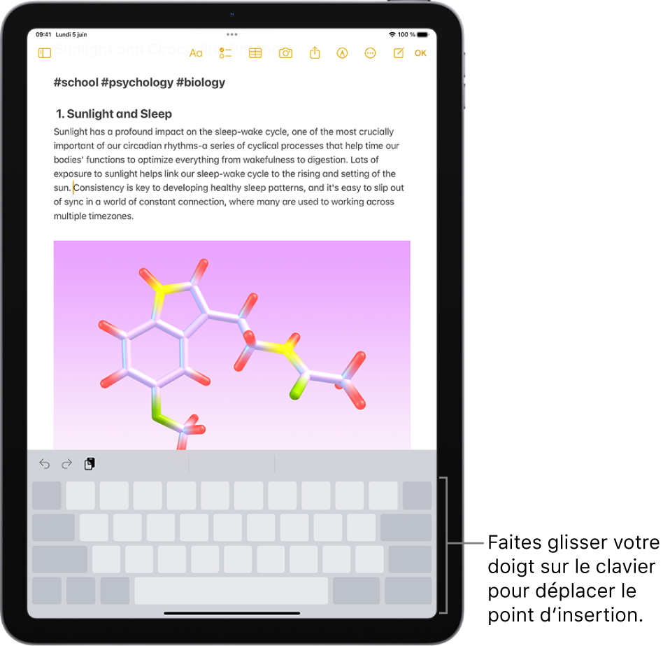 Un document est ouvert dans l’app Notes. Le clavier à l’écran dans la partie inférieure de l’écran est en mode trackpad.