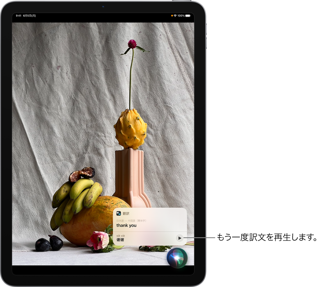 Siriは日本語のフレーズ「ありがとう」の中国語訳を表示します。翻訳結果の右側のボタンをタップすると、訳文が音声でもう一度再生されます。