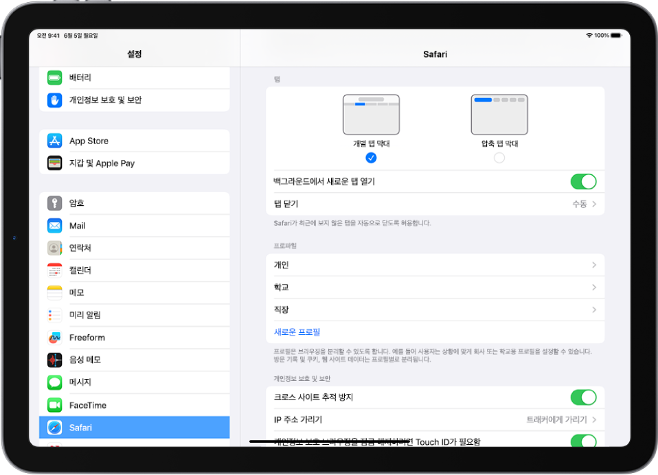 설정 앱의 Safari 섹션. 탭 아래에는 개별 탭 막대와 압축 탭 막대 옵션이 있음.