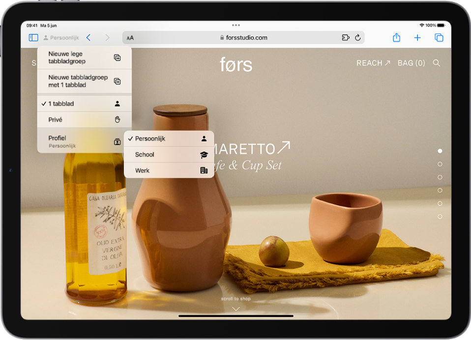 In Safari is het menu 'Tabbladgroepen' rechts van het zoekveld geopend. Onder in het menu is 'Profiel' geselecteerd en er is een menu geopend met de opties 'Persoonlijk', 'School' en 'Werk'.