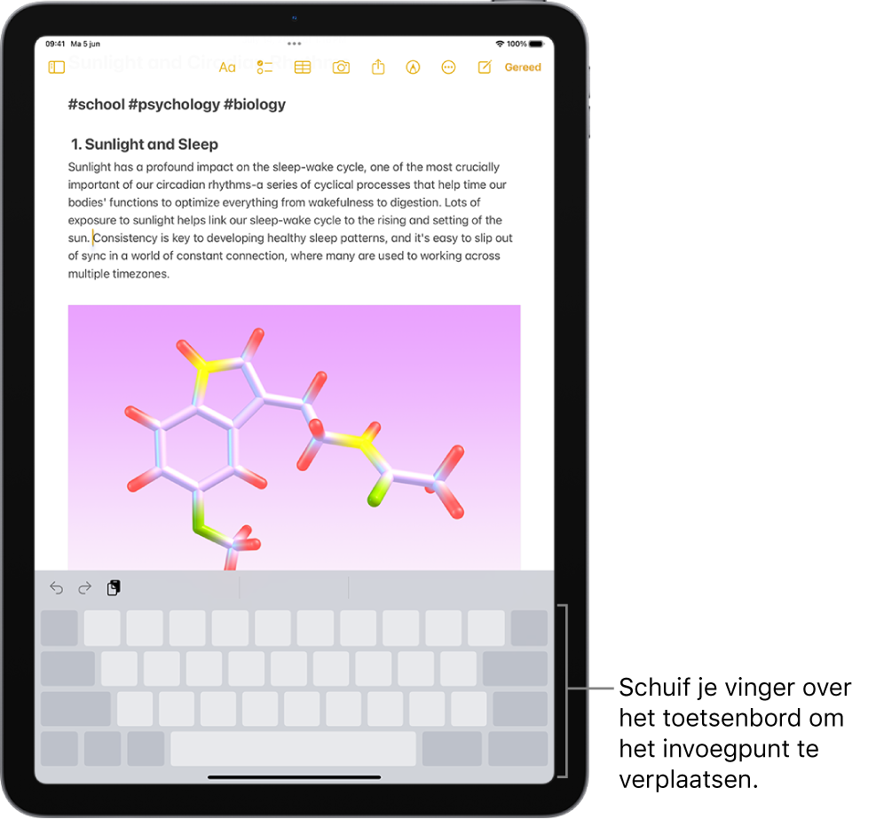 Een document is open in de Notities-app. Het schermtoetsenbord in de onderste helft van het scherm wordt als trackpad gebruikt.