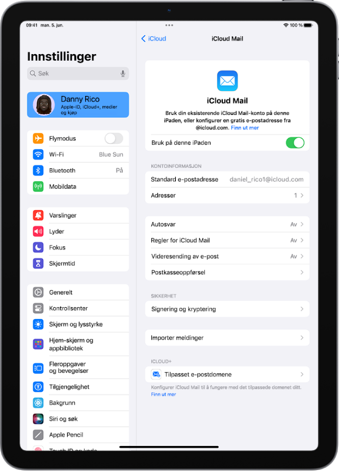 Innstillinger-appen, med iCloud Mail-skjermen åpen. Tilpasset e-postdomene vises nederst i menyen.