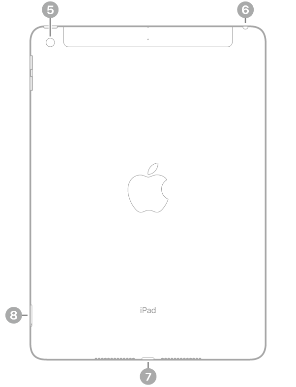O iPad visto de trás com chamadas para a câmara traseira no canto superior esquerdo, a ficha para auscultadores na parte superior direita, o conector Lightning na parte inferior, ao centro, e o tabuleiro do SIM (Wi-Fi + Cellular) na parte inferior esquerda.