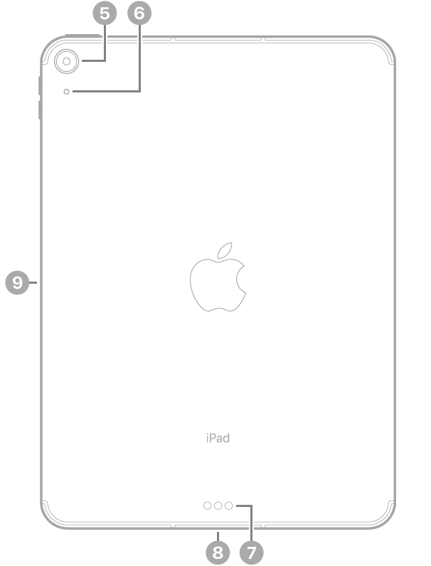 Vista traseira do iPad Air 11 polegadas (M2) com chamadas para a câmara traseira no canto superior esquerdo, para o Smart Connector e conector USB-C na parte inferior, ao centro, para o tabuleiro do SIM (Wi-Fi + Cellular) na parte inferior esquerda e para o conector magnético para o Apple Pencil à esquerda.