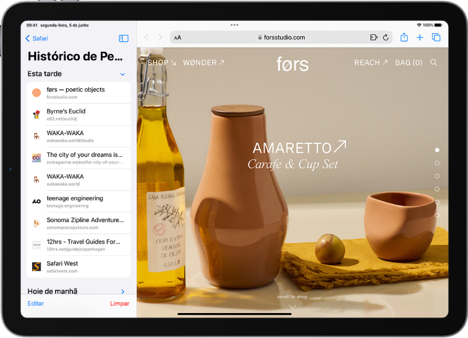 Uma página web aberta. O histórico de navegação do Safari está aberto à esquerda do ecrã, com uma lista de sites visitados recentemente, com o botão Limpar por baixo.