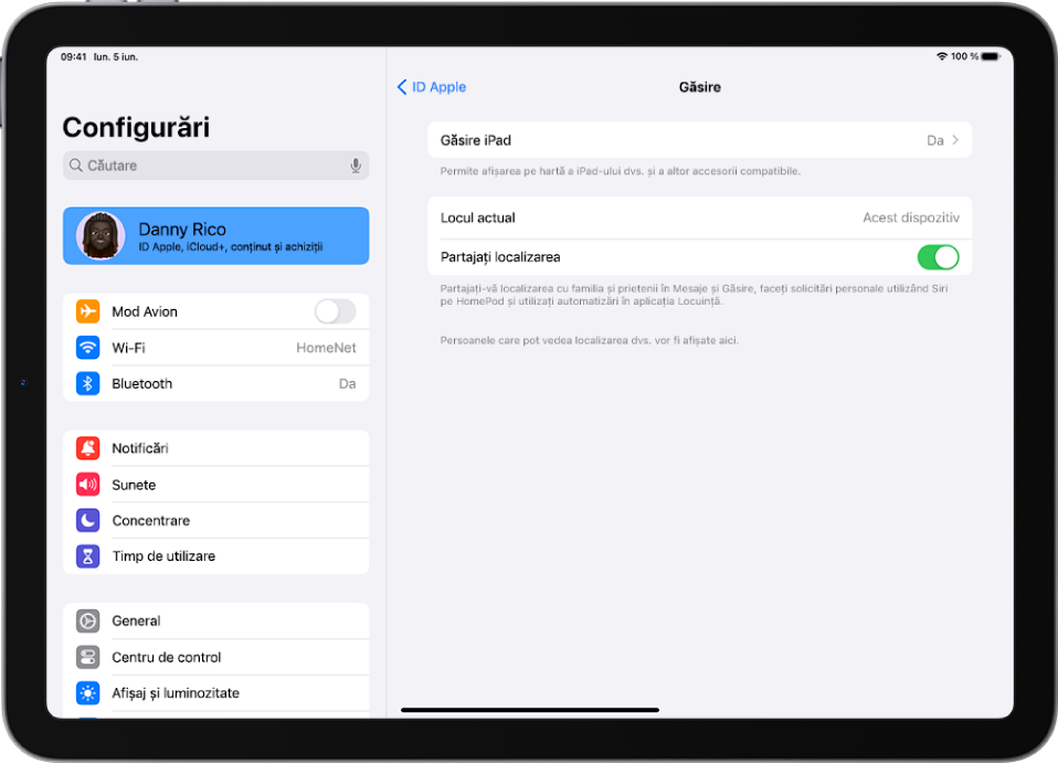 Bara laterală Configurări este pe partea stângă a ecranului și opțiunea de sus cu numele utilizatorului este selectată. În partea dreaptă a ecranului sunt opțiuni pentru a alege ce funcționalități Găsire să fie activate. Opțiunile Găsire iPad Partajare localizare sunt activate.