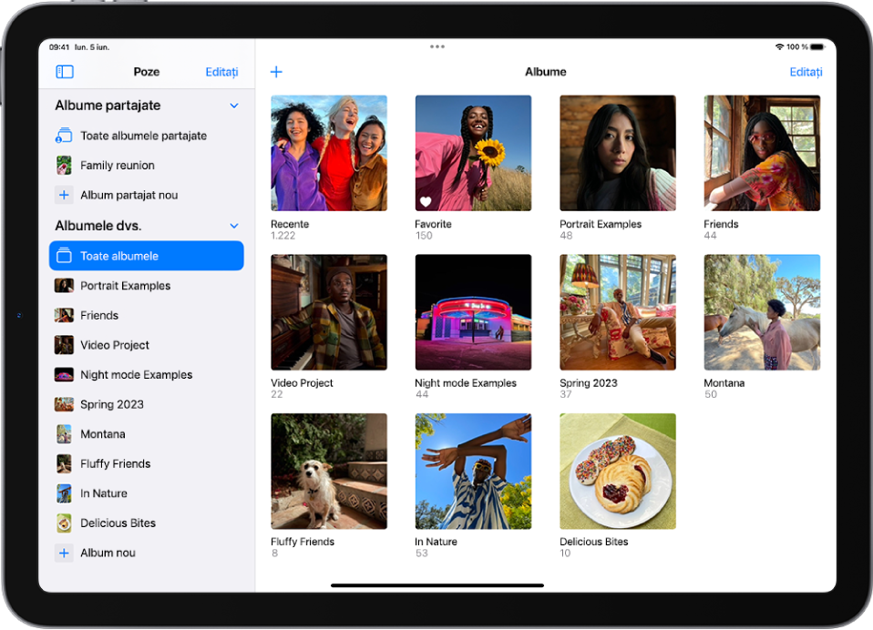 Bara laterală din Poze este deschisă în partea stângă a ecranului. Sub antetul Albumele dvs., este selectată opțiunea Toate albumele. Restul ecranului de iPad afișează miniaturile albumelor într‑o grilă.