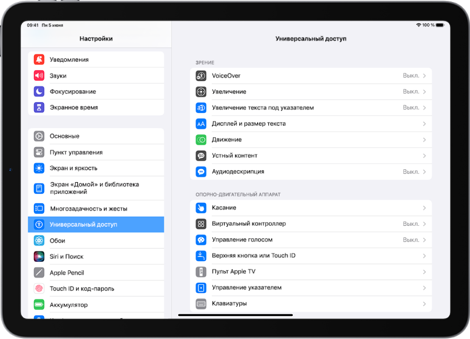 Экран настроек iPad. В левой части экрана находится боковое меню «Настройки». Выбран Универсальный доступ. В правой части экрана показаны варианты для настройки функций Универсального доступа.