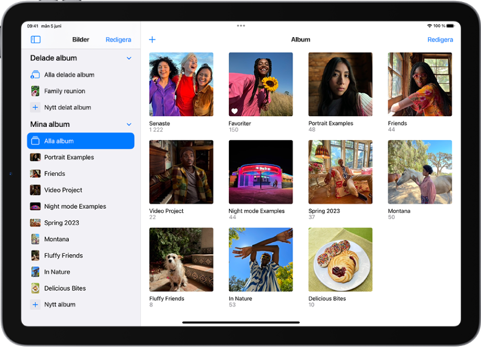 Sidofältet i Bilder visas till vänster på skärmen. Under rubriken Mina album är Alla album valt. Resten av iPad-skärmen visar miniatyrer för album i ett rutnät.