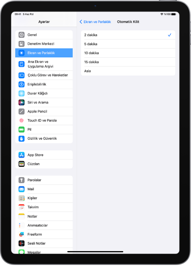 iPad otomatik olarak kilitlenmeden önceki sürenin uzunluğuyla ilgili ayarlar ile Otomatik Kilit ekranı.