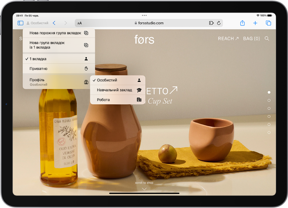 У Safari ліворуч від поля пошуку відкрито меню «Група вкладок». Унизу меню вибрано «Профіль», і меню містить опції: «Особистий», «Навчальний» і «Робочий».