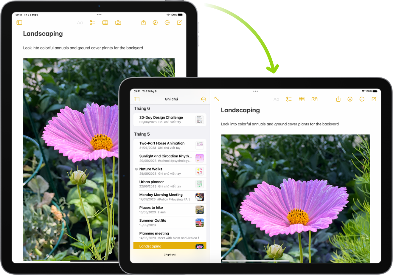 Trong nền sau, iPad hiển thị màn hình Ghi chú theo hướng dọc; trong nền trước, iPad được xoay và hiển thị màn hình Ghi chú theo hướng ngang.