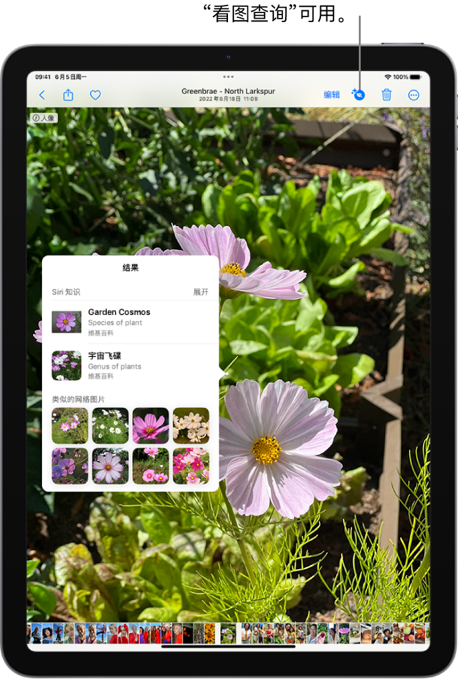  A photo is opened in the Photos app. The "Information" button at the top of the screen displays an icon indicating that the "View Query" information is available. The button is selected, and the "View Query" result appears on the screen.