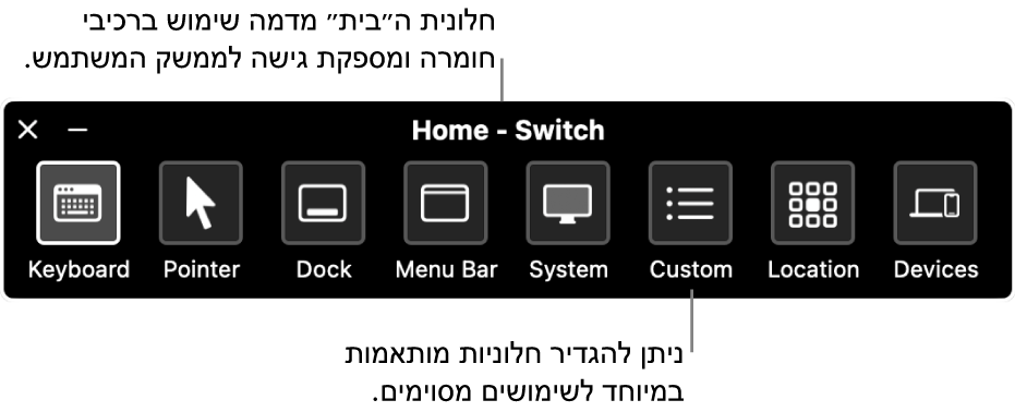 חלונית הבית של ״בקרת מתג״, הכוללת מימין לשמאל את הפריטים הבאים: כפתורים לשליטה במקלדת, המצביע, ה‑Dock, שורת התפריטים, פקדי מערכת, חלוניות מותאמות אישית, מיקום המסך ומכשירים אחרים.
