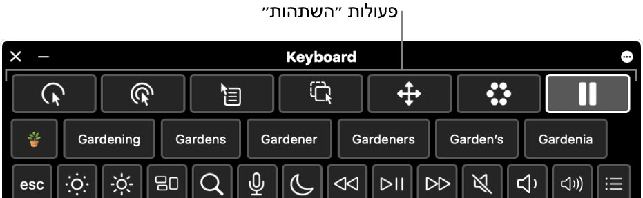 כפתורים של פעולות ״השתהות״ הממוקמים לאורך החלק העליון של ״מקלדת הנגישות״.