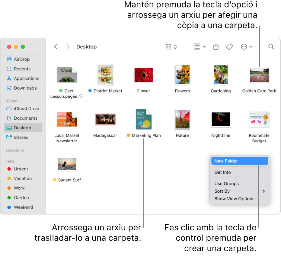 Finestra del Finder que conté arxius i carpetes. Al menú de dreceres, està ressaltada l’opció “Nova carpeta”.