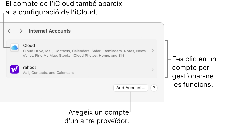 La configuració dels comptes d’internet amb una llista dels comptes configurats al Mac.