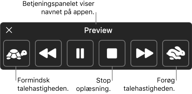 Betjeningspanelet på skærmen, der kan blive vist, når din Mac læser valgt tekst op. Betjeningspanelet har seks knapper, der fra venstre mod højre gør det muligt at sænke talehastigheden, hoppe en sætning tilbage, afspille oplæsningen eller sætte den på pause, stoppe oplæsningen, hoppe en sætning frem og øge talehastigheden. Øverst i betjeningspanelet vises navnet på appen.