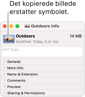 Infovinduet til en mappe, der viser standardsymbolet erstattet med et billede.