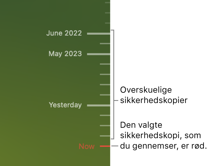 Hakker på tidslinjen til sikkerhedskopier. Den røde hak angiver den sikkerhedskopi, du er ved at gennemse.