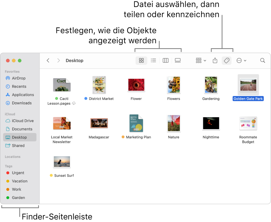 Ein Finder-Fenster mit der Finder-Seitenleiste links. Oben im Fenster befinden sich vier Tasten, mit denen du festlegen kannst, wie Objekte im Fenster angezeigt werden, und weitere Tasten, mit denen du Objekte organisieren und teilen kannst.