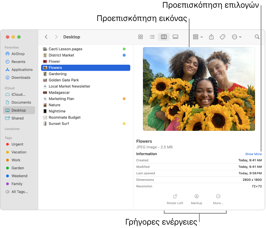 Ένα παράθυρο του Finder όπου φαίνεται η πλαϊνή στήλη του Finder στα αριστερά και ένα επιλεγμένο αρχείο εικόνας στη μέση του παραθύρου. Στα δεξιά, το τμήμα Προεπισκόπησης όπου εμφανίζεται το πώς φαίνεται η εικόνα, οι λεπτομέρειες της εικόνας από κάτω και τα κουμπιά Γρήγορων ενεργειών στο κάτω μέρος.