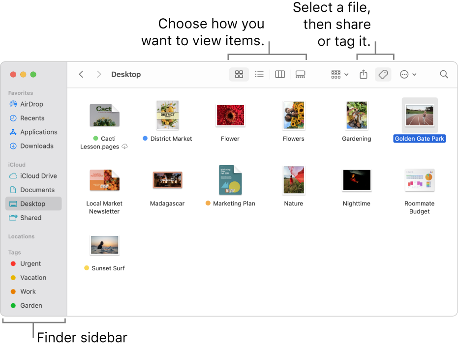 A Finder window with the Finder sidebar on the left. At the top of the window are four buttons that change the way items are shown in the window, and additional buttons for organising and sharing items.