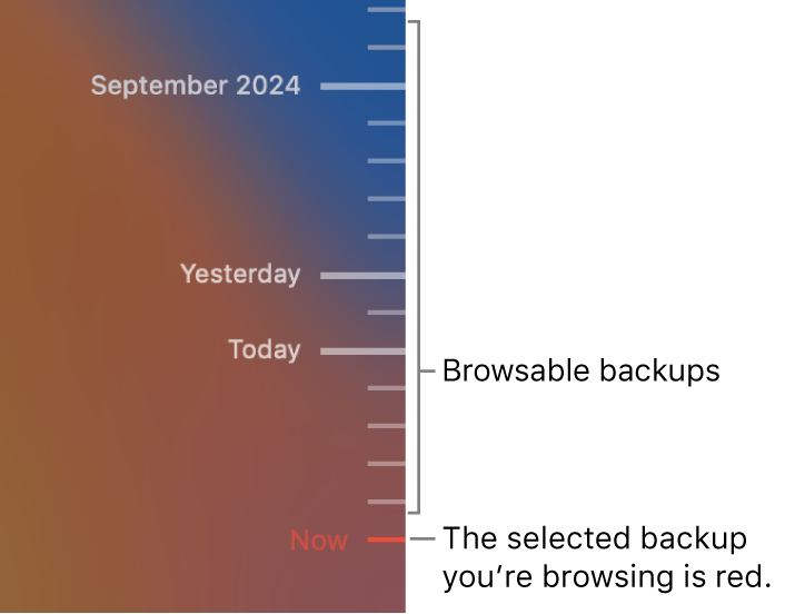 Tick marks in the backup timeline. The red tick mark indicates the backup you’re browsing.