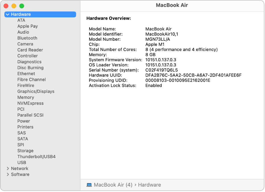 The Hardware Overview section of a system report.