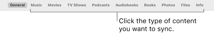 The row of options across the top of the window, showing the types of content you can sync.