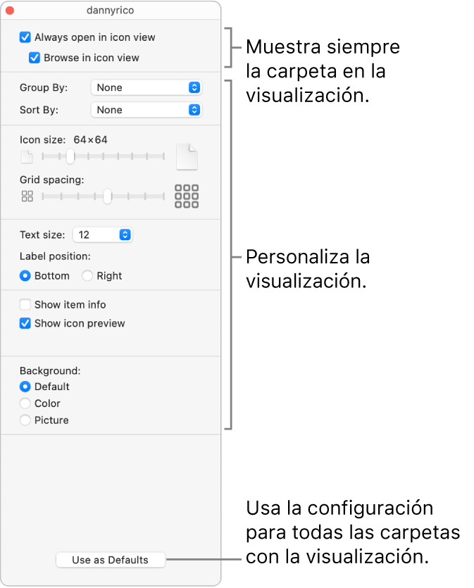 Opciones de visualización de íconos para una carpeta.