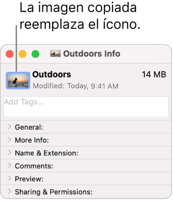 La ventana de información de una carpeta, mostrando que el ícono genérico se reemplazó con una imagen.