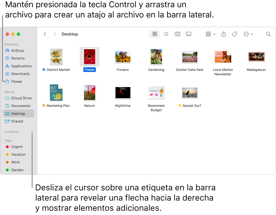 Del lado derecho de Ubicaciones en la barra lateral del Finder hay una flecha para hacer clic y mostrar elementos adicionales. En la ventana derecha del Finder, se selecciona un archivo y hay un atajo al archivo en la barra latera, debajo de Favoritos.