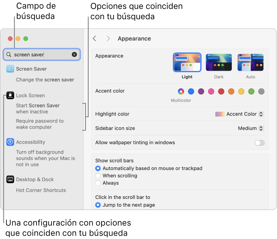 La ventana de Configuración del Sistema con las palabras protector de pantalla en el campo de búsqueda y una lista de los resultados coincidentes debajo del campo de búsqueda.