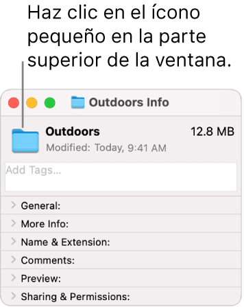 La ventana de información de una carpeta, mostrando el ícono genérico de la carpeta seleccionada.