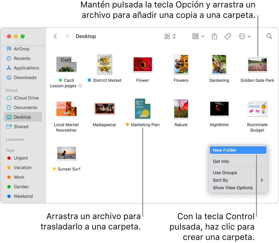 Una ventana del Finder que contiene archivos y carpetas. En el menú de funciones rápidas está seleccionado el comando “Nueva carpeta”.