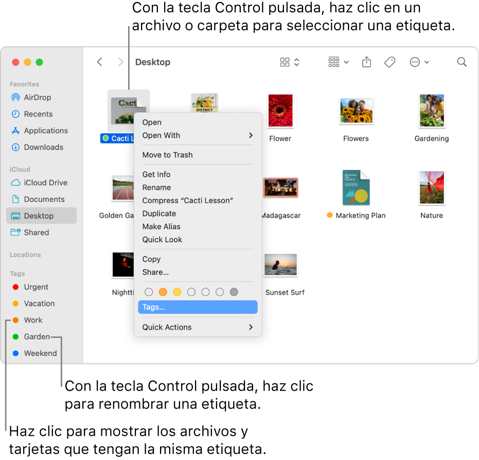 Una ventana del Finder que contiene archivos y carpetas etiquetados, con un archivo seleccionado. En el menú de función rápida hay opciones de color para las etiquetas y está resaltada la opción Etiquetas.