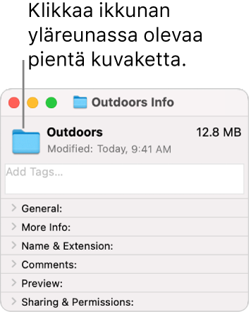 Kansion Tiedot-ikkuna, jossa näkyy kansion yleinen kuvake valittuna.