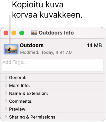 Kansion Tiedot-ikkuna, jossa näkyy yleinen kuvake korvattuna kuvalla.