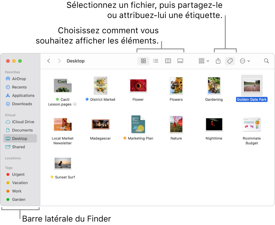 Une fenêtre du Finder avec la barre latérale du Finder à gauche. En haut de la fenêtre se trouvent quatre boutons qui changent l’affichage des éléments dans la fenêtre ainsi que des boutons supplémentaires pour organiser et partager ces éléments.