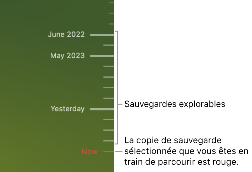 Marques de graduation de la chronologie de sauvegarde. La marque de graduation rouge indique la sauvegarde que vous consultez.