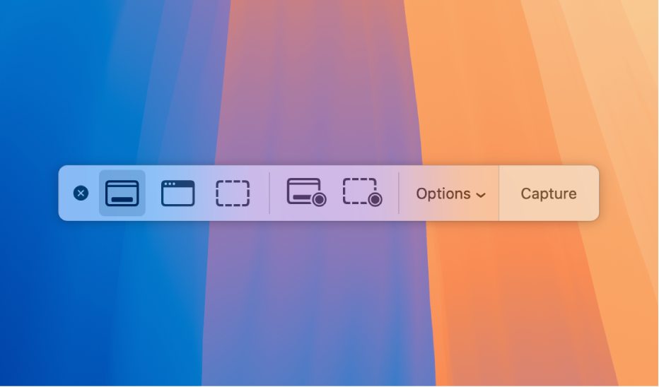 Sous-fenêtre Capture d’écran qui affiche les icônes que vous pouvez utiliser pour sélectionner la zone de l’écran à capturer, le bouton Options et le bouton Capturer.